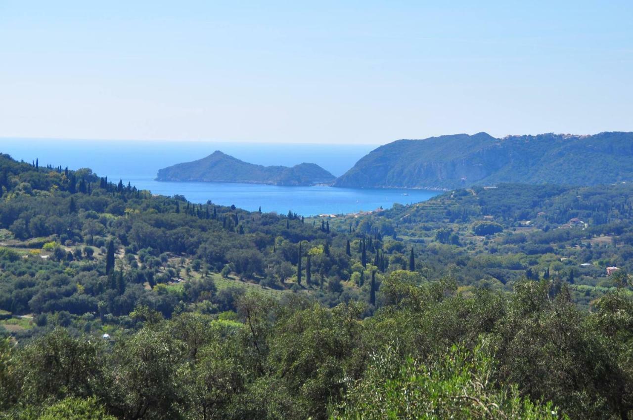 Angela Pool Apartments Agios Georgios Pagon Bilik gambar
